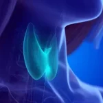 hasimato-hipotiroidi-kemik-erimesi