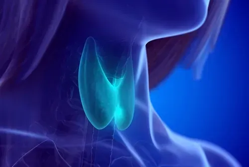 hasimato-hipotiroidi-kemik-erimesi