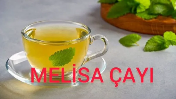 Melisa Çayı