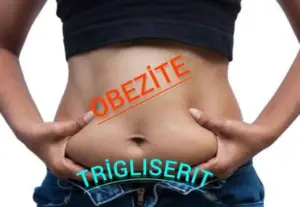 trigliserit obezite